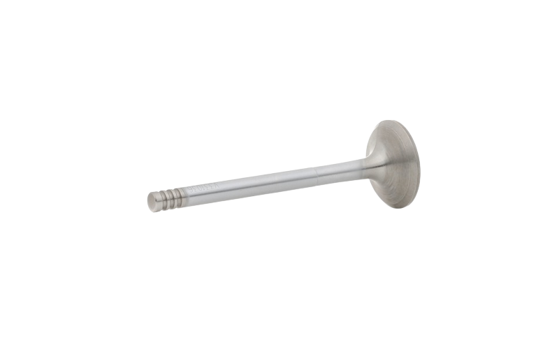 Exhaust valve